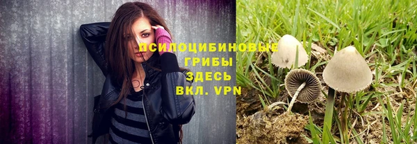 соль ск Алексин