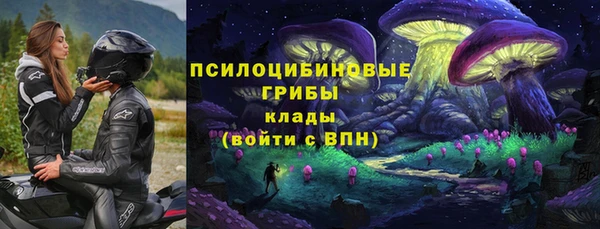соль ск Алексин