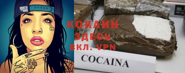 соль ск Алексин