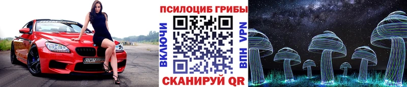 Галлюциногенные грибы Magic Shrooms  Междуреченск 