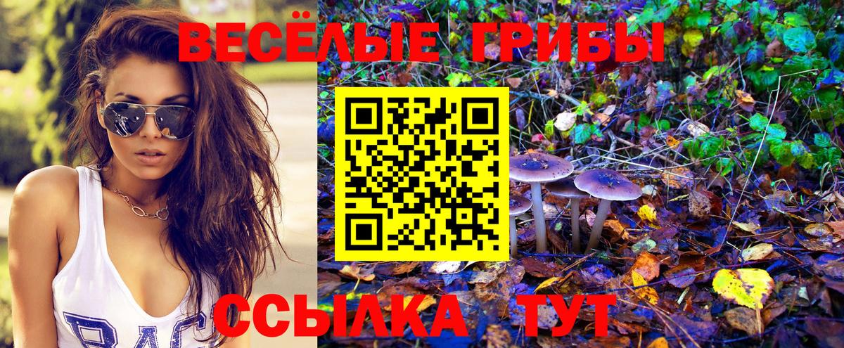 Галлюциногенные грибы мухоморы Междуреченск
